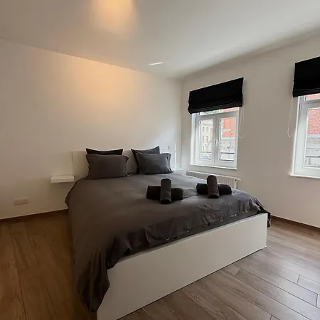Au Coeur De Avec Parking Prive Appartement