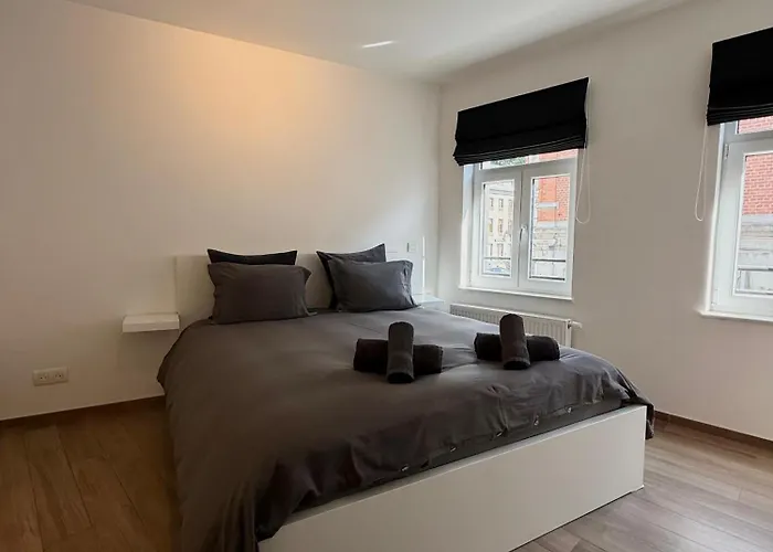 Au Coeur De Avec Parking Prive Appartement